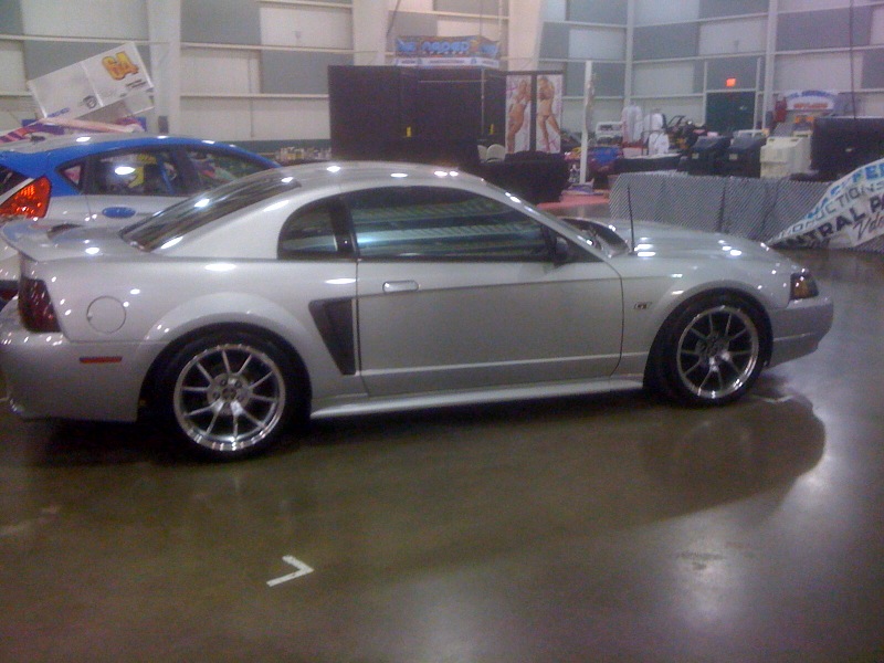 TJIN_MUSTANG.jpg