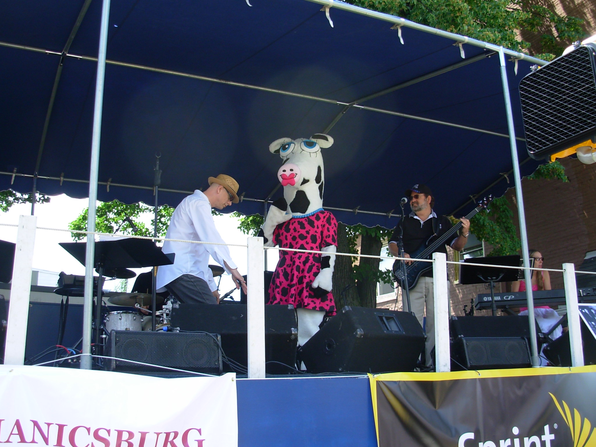 Maggie Moo the cow dancing with Mitch
