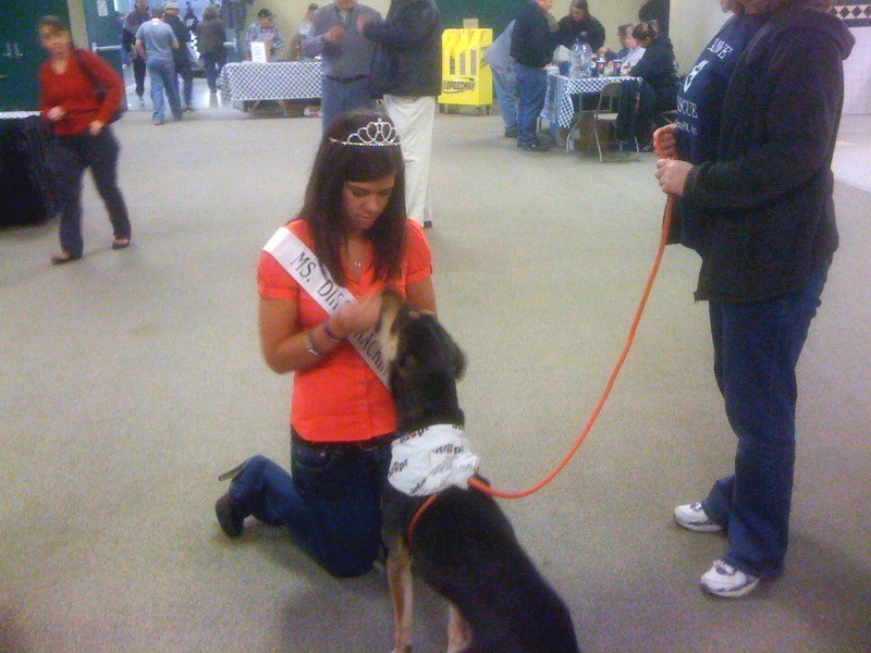 Ms Dirt Trackin' and Canine Rescue Dog
