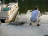 Filename=DSCN1276.JPG
Filesize=672KiB
Dimensions=2048x1536
Date added=Jun 01, 2007 DSCN1276.JPG